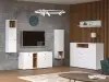 Гостиная Бэль комплектация 2 Дуб золотой / Белый