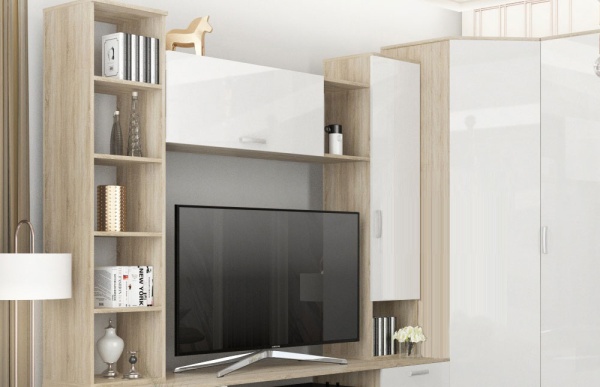 Гостиная Софи