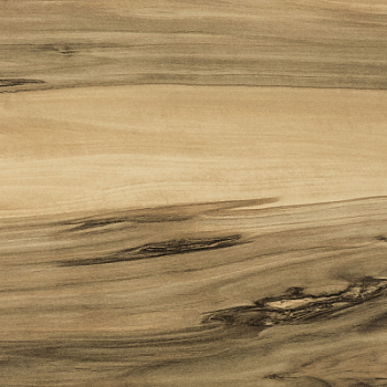 NW\Столешница\3050\600\40(38)\1U\70008\ Тис