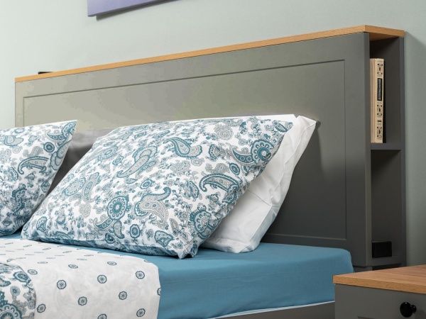 Остин Кровать 11.53 графит/дуб золотой