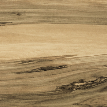 NW\Столешница\4100(+/-100)\600\38\ 1U\70008\ Тис