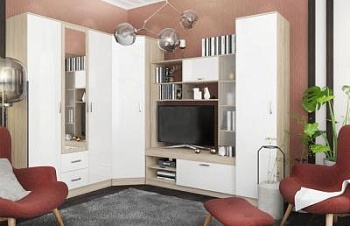 Гостиная Софи