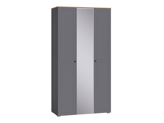 Остин Шкаф для одежды 13.336.03 графит/дуб золотой