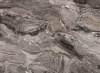 Столешница, №261 (ГЛЯНЕЦ) 3000х600х38U (влаг.) Паладина коричневая